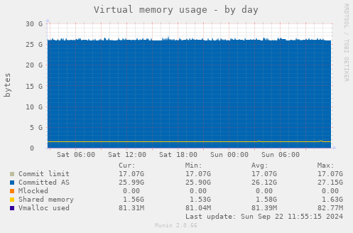 Virtual memory usage