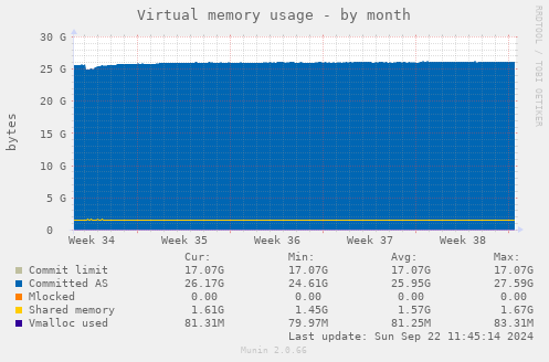 Virtual memory usage