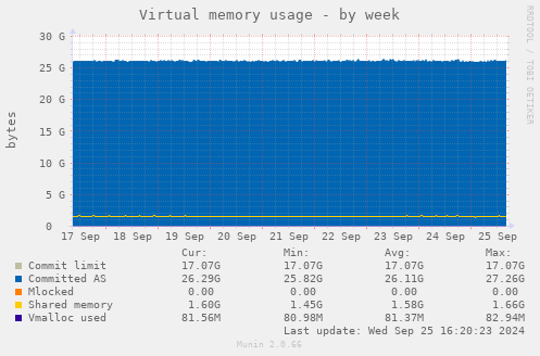 Virtual memory usage