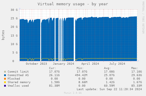 Virtual memory usage